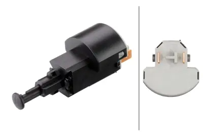 gm-9132299-fren-musuru