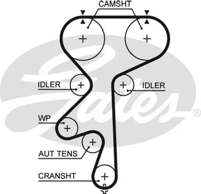 gates-5542xs-5542-triger-kayisi