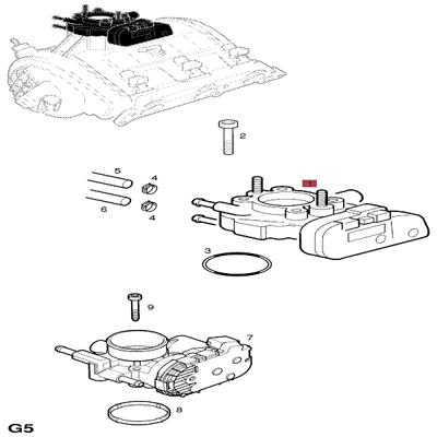 gm-9157512-gaz-kelebegi-govdesi