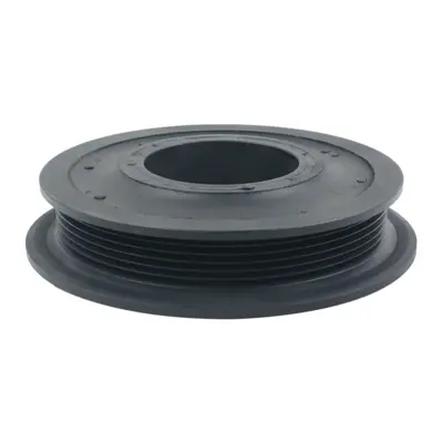 rapro-59930-krank-kasnagi