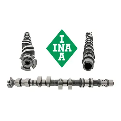 ina-428017710-egzoz-eksantrik-mili
