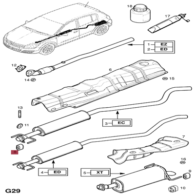 margo-1700093-egzoz-aski-lastigi