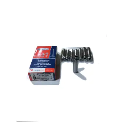 gaysan-4500202-sibop-gaydi-takim-18-16v