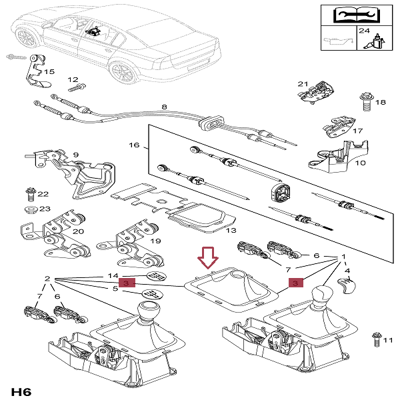root-111536-vites-korugu