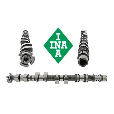 ina-728017810-emme-eksantrik-mili