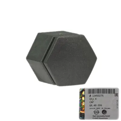 gm-13450275-bijon-kapagi