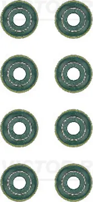 victor-reinz-12-26546-01-sibop-lastigi-takimi