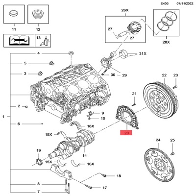 gm-12637710-arka-krank-kecesi