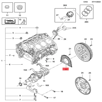 gm-12637710-arka-krank-kecesi
