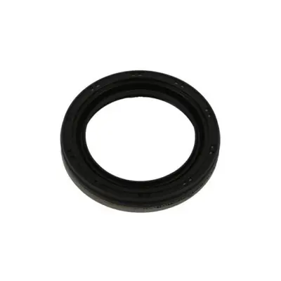 gm-12661527-on-krank-kecesi