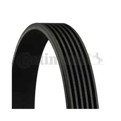 continental-contitech-6pk1623-v-kayisi