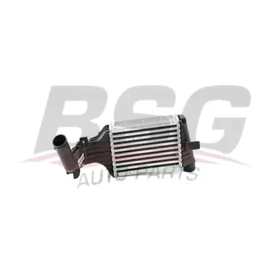 bsg-65-535-004-intercooler