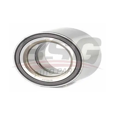 bsg-65-605-012-arka-teker-rulman-takimi