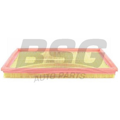 bsg-65-135-003-hava-filtresi