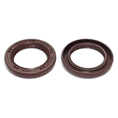 elring-166160-yag-pompa-kecesi