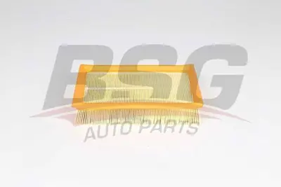 bsg-16-135-005-hava-filtresi