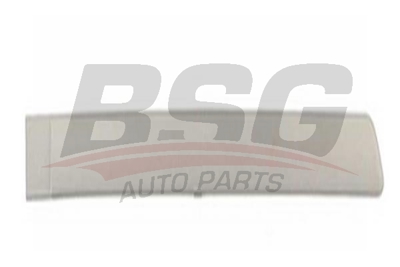 bsg-65-925-008-kapi-bandi-arka-sag