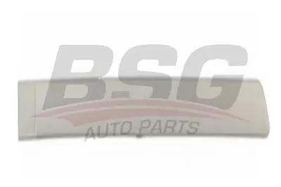 bsg-65-925-008-kapi-bandi-arka-sag