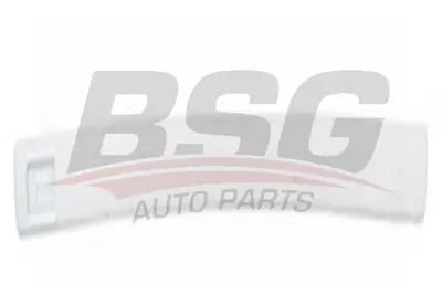 bsg-65-925-006-kapi-bandi-on-sag