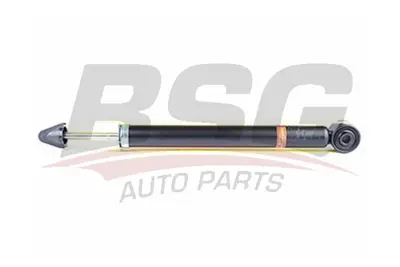 bsg-16-300-016-amortisor-arka