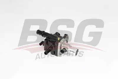 bsg-16-126-004-termostat