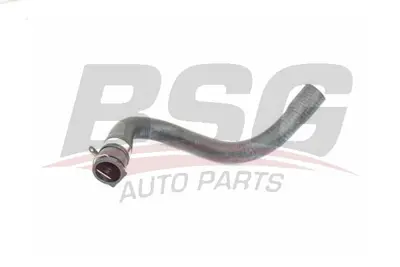 bsg-65-720-184-kalorifer-hortumu-cikis