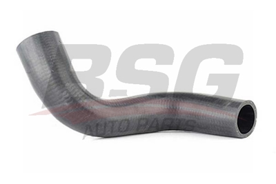 bsg-16-720-015-radyator-hortumu-alt