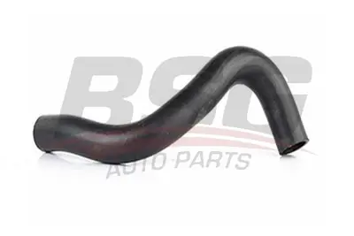 bsg-16-720-003-radyator-hortumu-ust