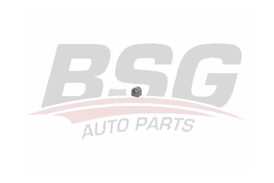bsg-65-700-250-viraj-demir-lastigi-on