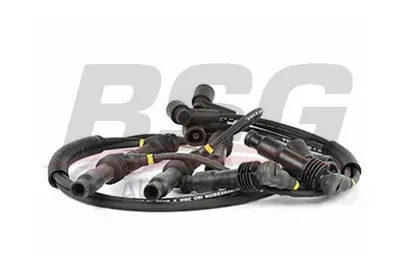 bsg-65-839-008-buji-kablosu