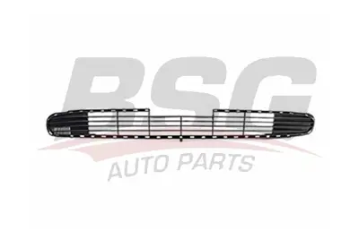 bsg-65-920-013-tampon-orta-izgarasi-on