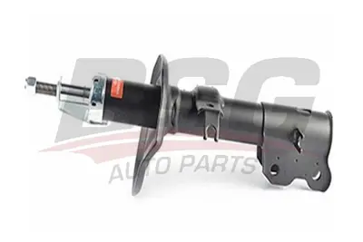 bsg-16-300-005-amortisor-on-sol