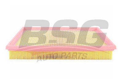 bsg-65-135-010-hava-filtresi