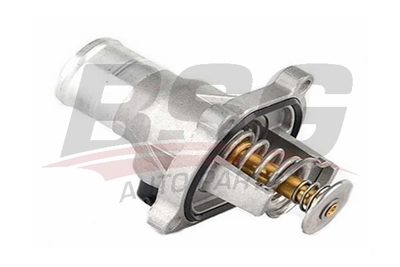 bsg-16-125-005-termostat
