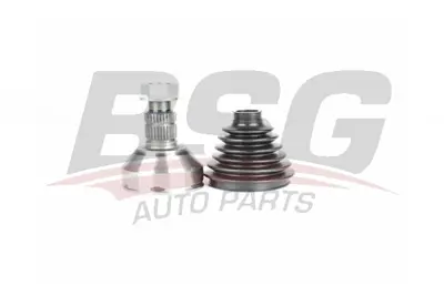 bsg-65-340-024-aks-kafasi-dis