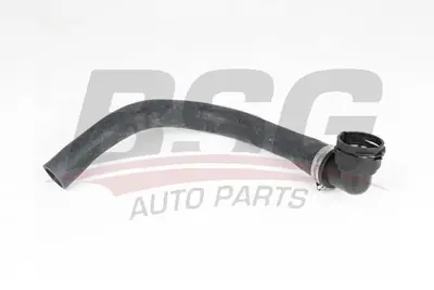 bsg-65-700-421-radyator-hortumu-alt