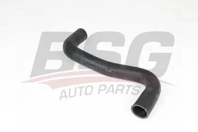 bsg-65-700-486-radyator-hortumu-alt