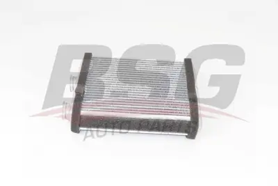 bsg-65-530-010-kalorifer-radyatoru