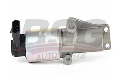 bsg-65-836-009-egr-valfi