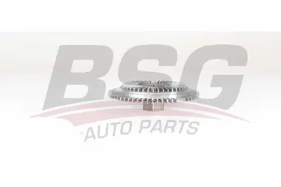 bsg-65-505-001-fan-termigi