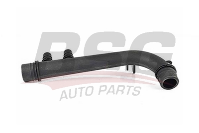 bsg-65-545-013-radyator-hortumu-alt