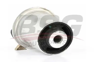 bsg-65-700-091-dingil-burcu-arka