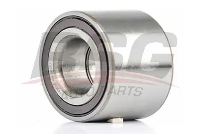 bsg-65-605-003-teker-rulmani-on