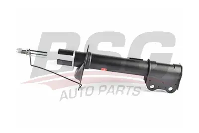 bsg-16-300-008-amortisor-arka-sag