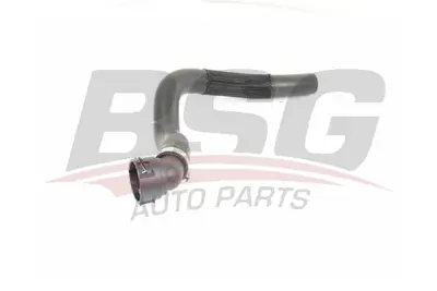 bsg-65-720-201-radyator-hortumu-ust