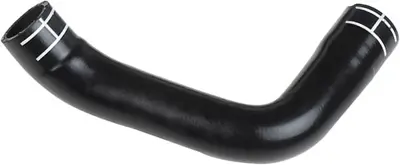 rapro-r18214-radyator-hortumu-alt