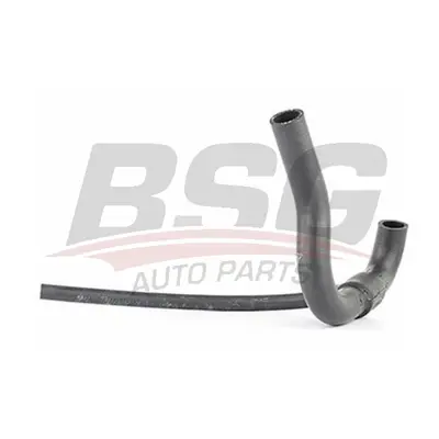 bsg-65-720-028-emme-manifold-hortumu