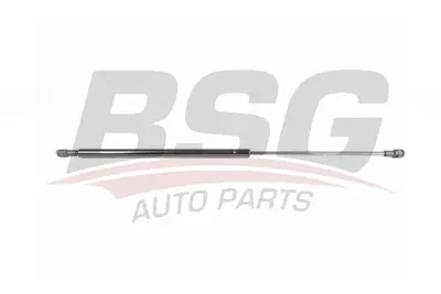 bsg-65-980-035-bagaj-amortisoru
