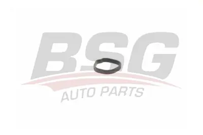 bsg-65-720-162-termostat-govde-contasi