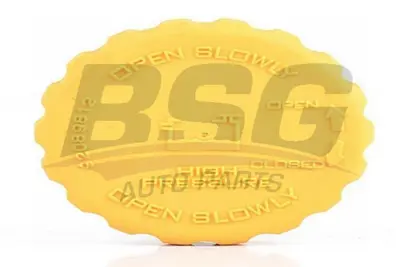 bsg-65-551-001-radyator-yedek-su-depo-kapagi